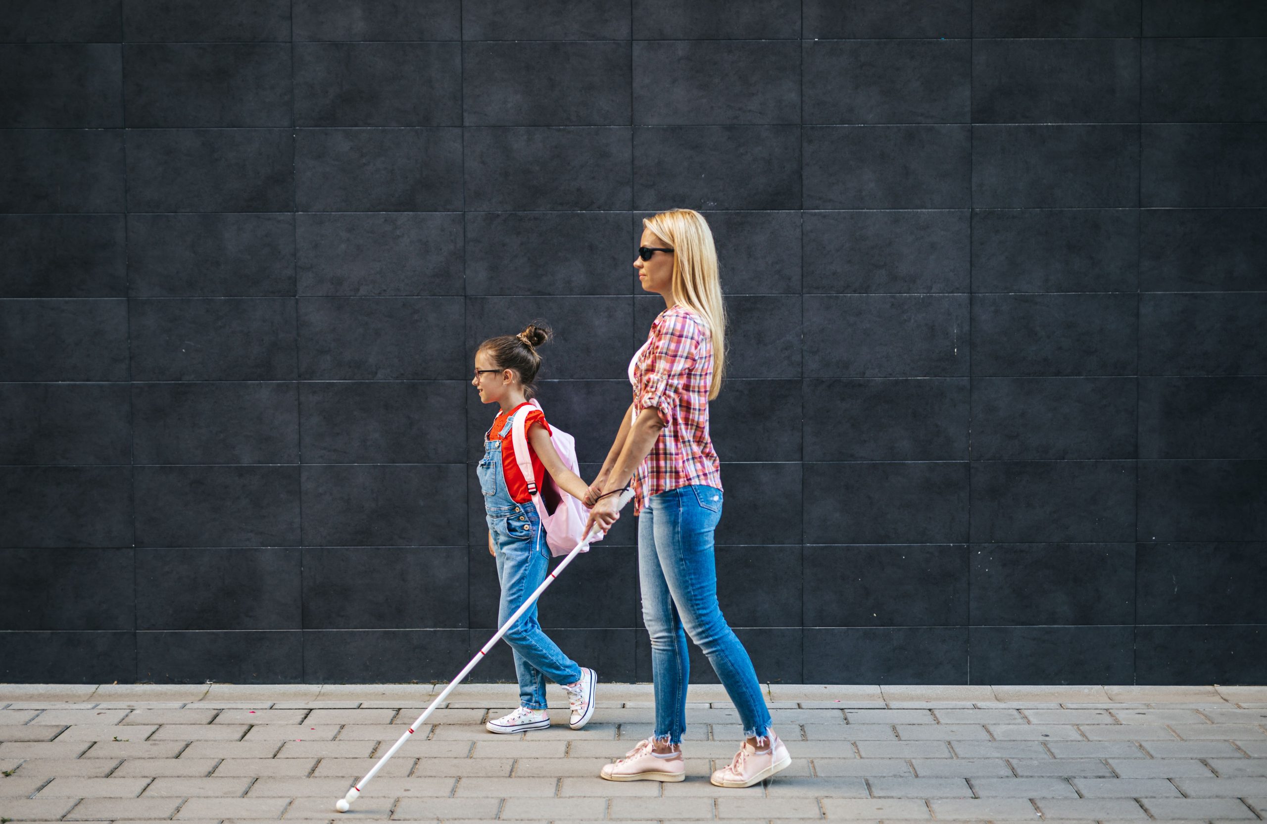 Прогулка по доске. Mother Walking girls to School.